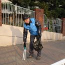 지산목련시장 이미지