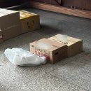 돈까스남 | [한주일기 #34] 2025.3.1~3.9