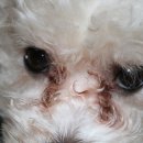 토평동물병원 이미지