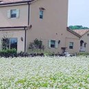 아를별밤 이미지