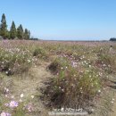 솔뫼세탁 이미지