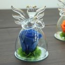 위너코퍼레이션