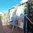 잼잼풀빌라 키즈펜션 이미지