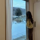 아이프스테이 | 여주 감성숙소 : 에어비엔비 아이프 로컬 스테이 (IIFE LOCAL STAY)