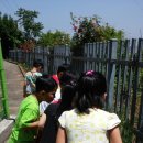 도림초등학교 내 이미지