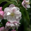 부석사가는길에 이미지