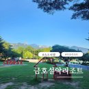 금호노래연습장 | 속초 대가족 숙소 금호설악리조트 휴그린스위트 투숙 후기