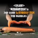 바른연어 이미지