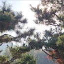 슬로우팜체험펜션 이미지