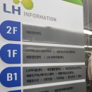 세종 점심 맛집_다정동 희락 제1작업실에서 이태원 감성 퓨전음식 추천