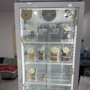 멍냥이네 구멍가게 이미지