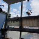 명지자연유치원 이미지