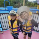 하나린태권도 이미지