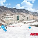 비발디파크
