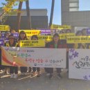 보라자원 이미지