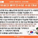 핫픽 이미지