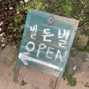 제주정원/큐브 네이버블로그