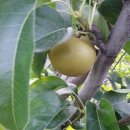 전진농장 이미지