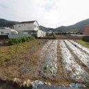 사등농장 이미지