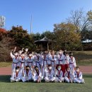 용인대 비상 태권도장 이미지