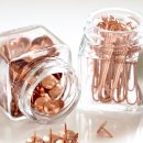 벌떼둥지 이미지