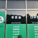 푸른솔나무병원 이미지