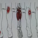 마이밸런스 프라이빗 PT짐 서초점 이미지