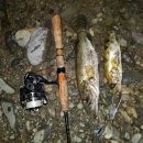 단양농협주유소 이미지