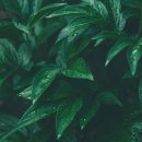 황금대박 이미지