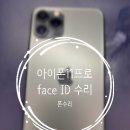 나주아이폰수리폰수리 이미지