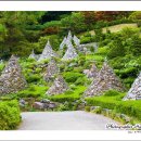 와우정사 이미지