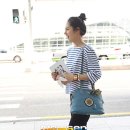 윈저쥬니어 이미지