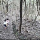 그리는제주in레이지마마 이미지