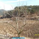 산진농장 이미지