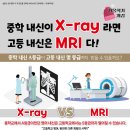시지외대어학원