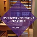 리온 메디 이미지