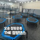 비트복싱클럽 | [오송 운동] THE점핑댄스: 2주차 운동후기(내돈내산)|점핑운동|스텝박스|