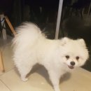 동편마을입구 이미지