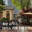 오렌지애견 | 용산 삼각지 야외 테라스 감성 카페 피요르드 애견동반