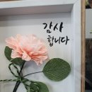 마장태권도체육관 네이버블로그