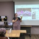 진안중앙초등학교 이미지