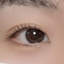 수영구속눈썹 찾다가 알게 된 귀빈점 방문 후기｜속눈썹펌만 하는 곳은 확실히 다르다