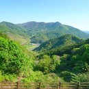 편백하우스 | 하동 편백자연휴양림 트리하우스 가성비 숙소 끝판왕 후기