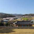 김정선생묘소일원 이미지