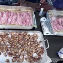 바른태권도 이미지