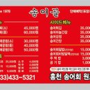 비발디송어골 이미지