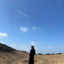 에벤에셀하우스 | [혼자여행] 2박 3일 혼자 제주 여행기 :)