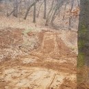 첨단산업단지내도로 이미지