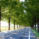 동산리 낚시터 이미지