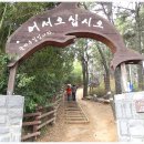 솔마루길 신선산 이미지